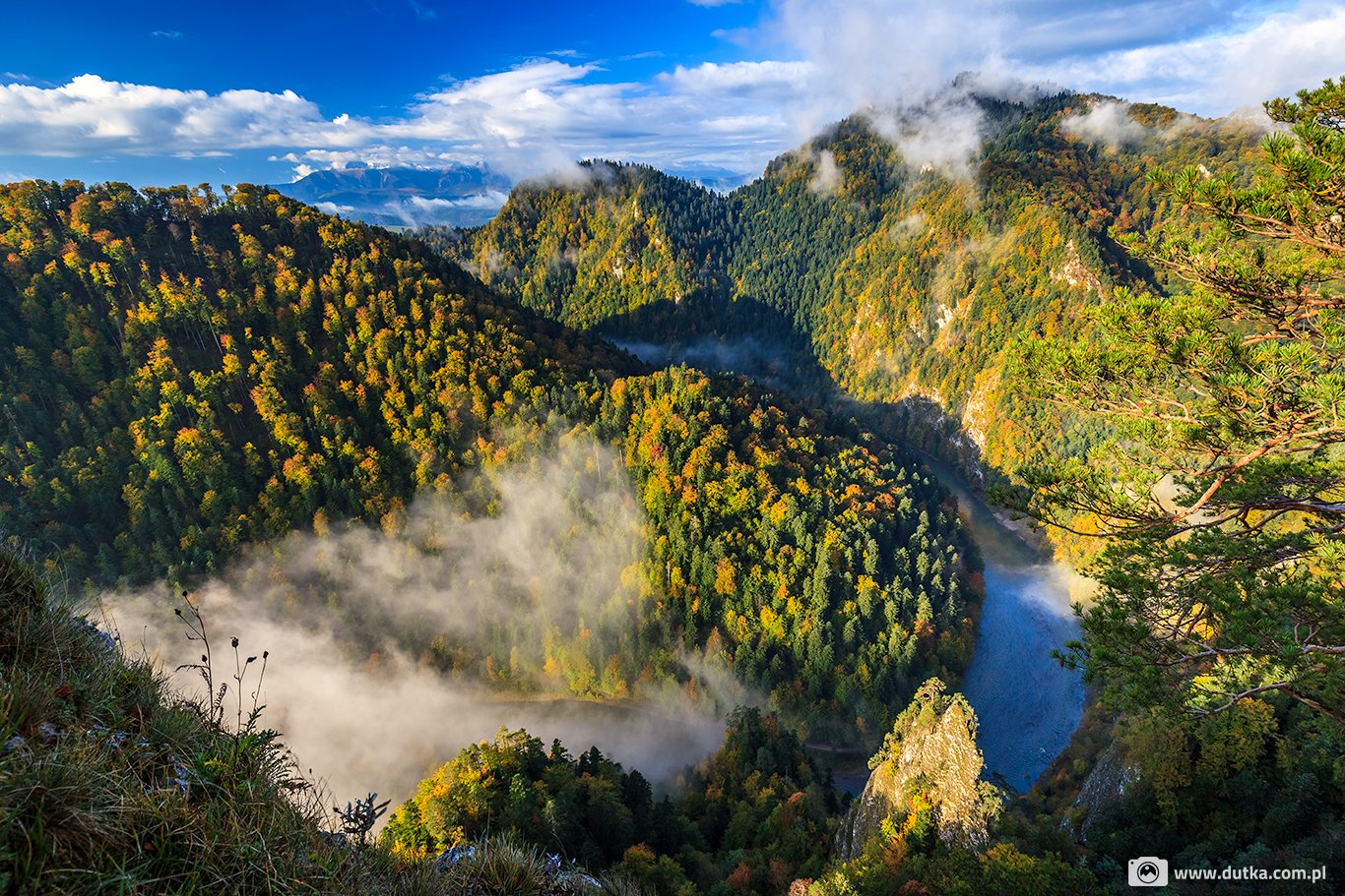 Pieniny
